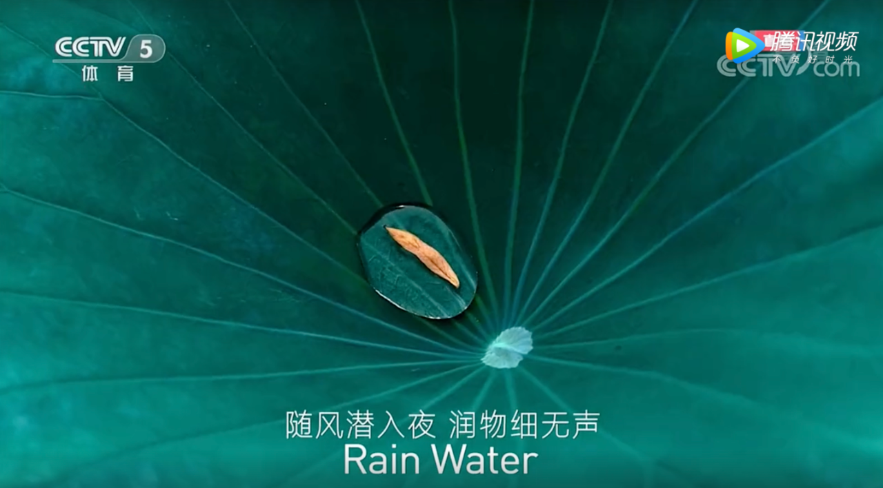 5.png